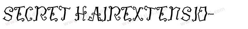 SECRET HAIREXTENSIO字体转换